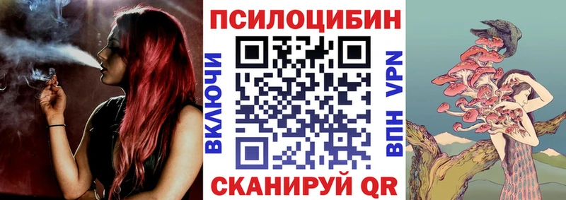Псилоцибиновые грибы Psilocybe  Новосибирск 